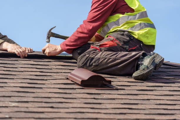 Best Shingle Roofing Installation  in Red Lake Falls, MN