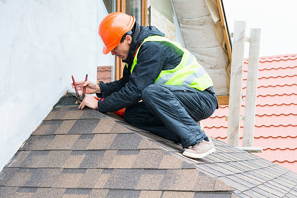 Best Roof Leak Repair  in Red Lake Falls, MN