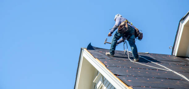 Best New Roof Installation  in Red Lake Falls, MN